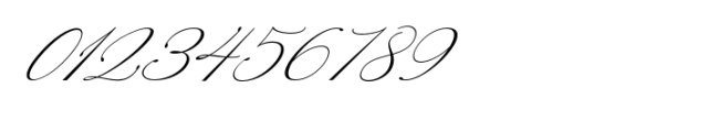 Konesta Calligraphy Script Italic Font OTHER CHARS