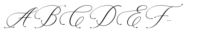 Konesta Calligraphy Script Regular Font UPPERCASE