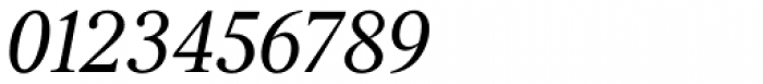 Kostic Serif Italic Font OTHER CHARS