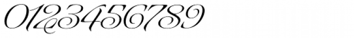 Kozmetica Script Font OTHER CHARS