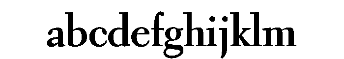 Kobodaishiv0.2Variable DisplayBold FONT
