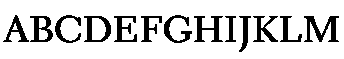 Kobodaishiv03 Bold Instance Font UPPERCASE
