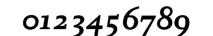 Kobodaishiv03 MicroBoldItalic Instance Font OTHER CHARS