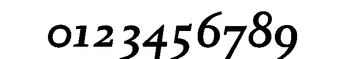 Kobodaishiv03 TextBoldItalic Instance Font OTHER CHARS