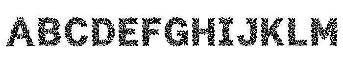 Krakow Regular FONT