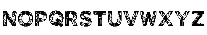 Krynn Regular Font UPPERCASE