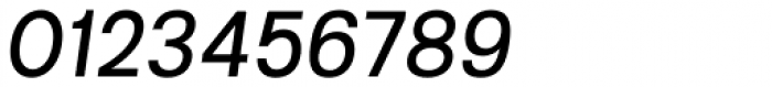 Kropotkin Std 23 Regular Oblique Font OTHER CHARS