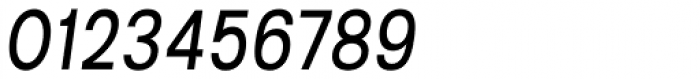 Kropotkin Std 24 Condensed Regular Oblique Font OTHER CHARS
