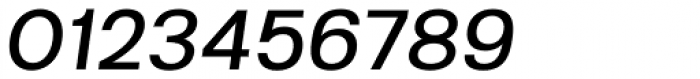 Kropotkin Std 25 Expanded Regular Oblique Font OTHER CHARS