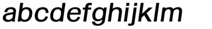Kropotkin Std 25 Expanded Regular Oblique Font LOWERCASE