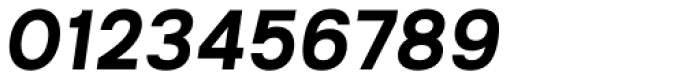 Kropotkin Std 33 Bold Oblique Font OTHER CHARS