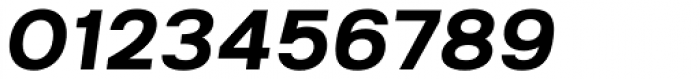 Kropotkin Std 35 Expanded Bold Oblique Font OTHER CHARS