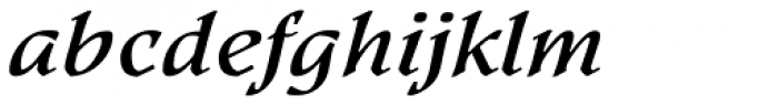 Kyiv Bold Italic Font LOWERCASE