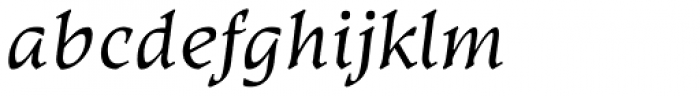 Kyiv Regular Half Italic Font LOWERCASE
