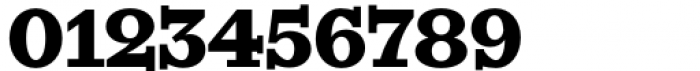 KyivType Serif Black2 Font OTHER CHARS
