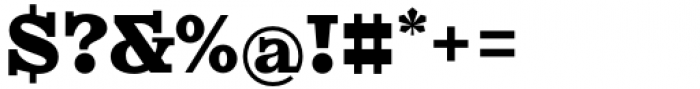 KyivType Serif Black2 Font OTHER CHARS