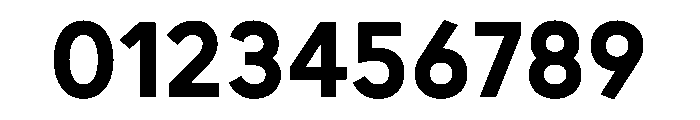 L10 Bold Webfont Font OTHER CHARS