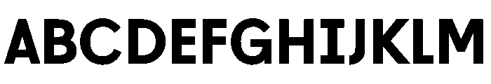 L10 Bold Webfont Font UPPERCASE