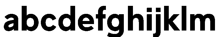 L10 Bold Webfont FONT