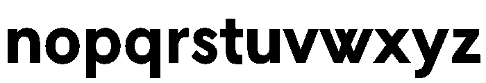 L10 Bold Webfont Font LOWERCASE