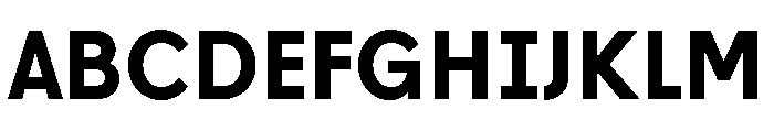 L10 Bold Font UPPERCASE