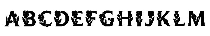 Lantern Regular FONT