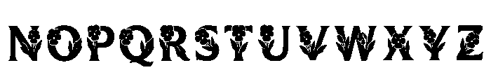 Lantern Regular Font LOWERCASE