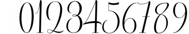 Ladylove Script Font OTHER CHARS
