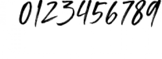 Ladysmith - Handwritten Font 1 Font OTHER CHARS