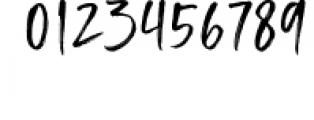 Ladysmith - Handwritten Font Font OTHER CHARS