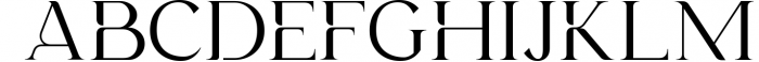 Lango - A Stylish Serif Font 1 Font UPPERCASE