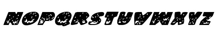 Land Shark Italic Font LOWERCASE