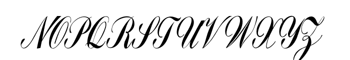 Lark-CondensedItalic Font UPPERCASE