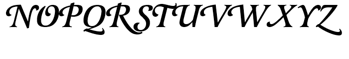 Latienne Swash Medium Italic Font UPPERCASE