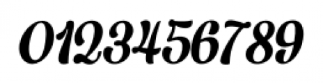 Larry Regular Italic Font OTHER CHARS