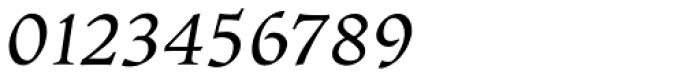 Ladoga Display Italic Font OTHER CHARS
