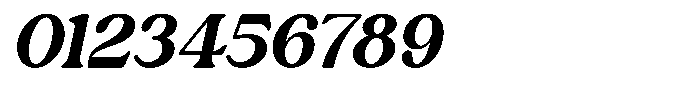 Lane Fiegras Italic Font OTHER CHARS