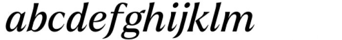 Larken Italic Font LOWERCASE
