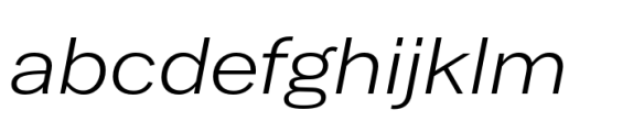 Latino Gothic Expanded Regular Italic Font LOWERCASE