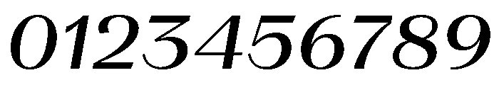 LaPontaise MediumItalic Font OTHER CHARS
