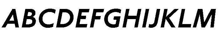 Label BoldItalic Font UPPERCASE