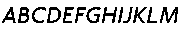 Label MediumItalic Font UPPERCASE
