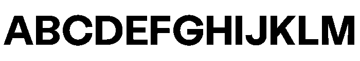 LabilGrotesk Bold Instance Font UPPERCASE
