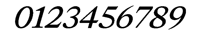 Large RegularItalic Font OTHER CHARS