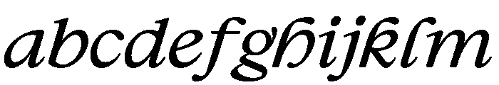Large RegularItalic FONT