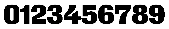 Larsen Bold Font OTHER CHARS