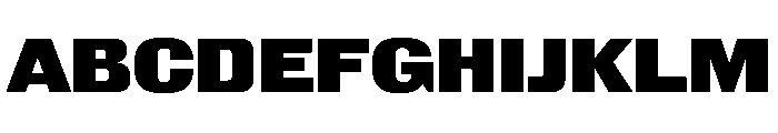 Larsen BoldExtended Font UPPERCASE