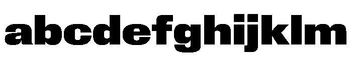 Larsen BoldExtended FONT