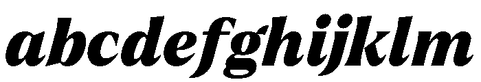 Larken Black Italic FONT