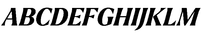 Larken Extra Bold Italic Font UPPERCASE